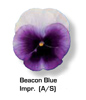 Vandeurzen Aanbod Viola Beacon Blue