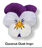 Vandeurzen Aanbod Viola Coconut Duet Impr