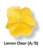 Vandeurzen Aanbod lemon clear