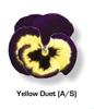 Vandeurzen Aanbod Viola Yellow Duet